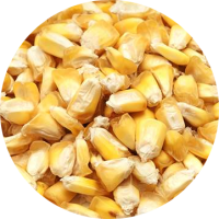 ingrediente-maiz-chulpi-modified (1)