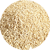 quinoa-modified