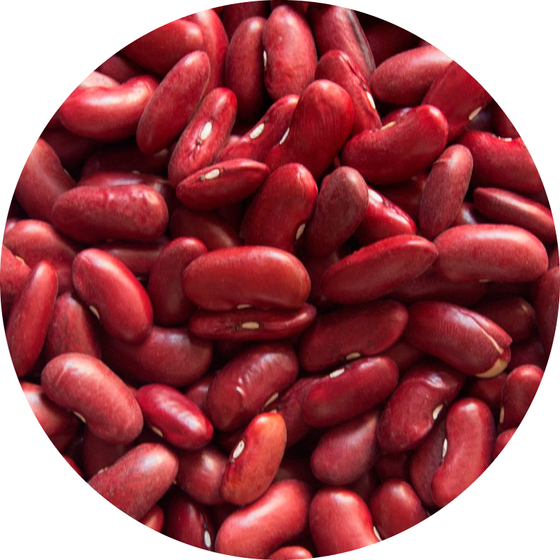 alubia-morada-modified