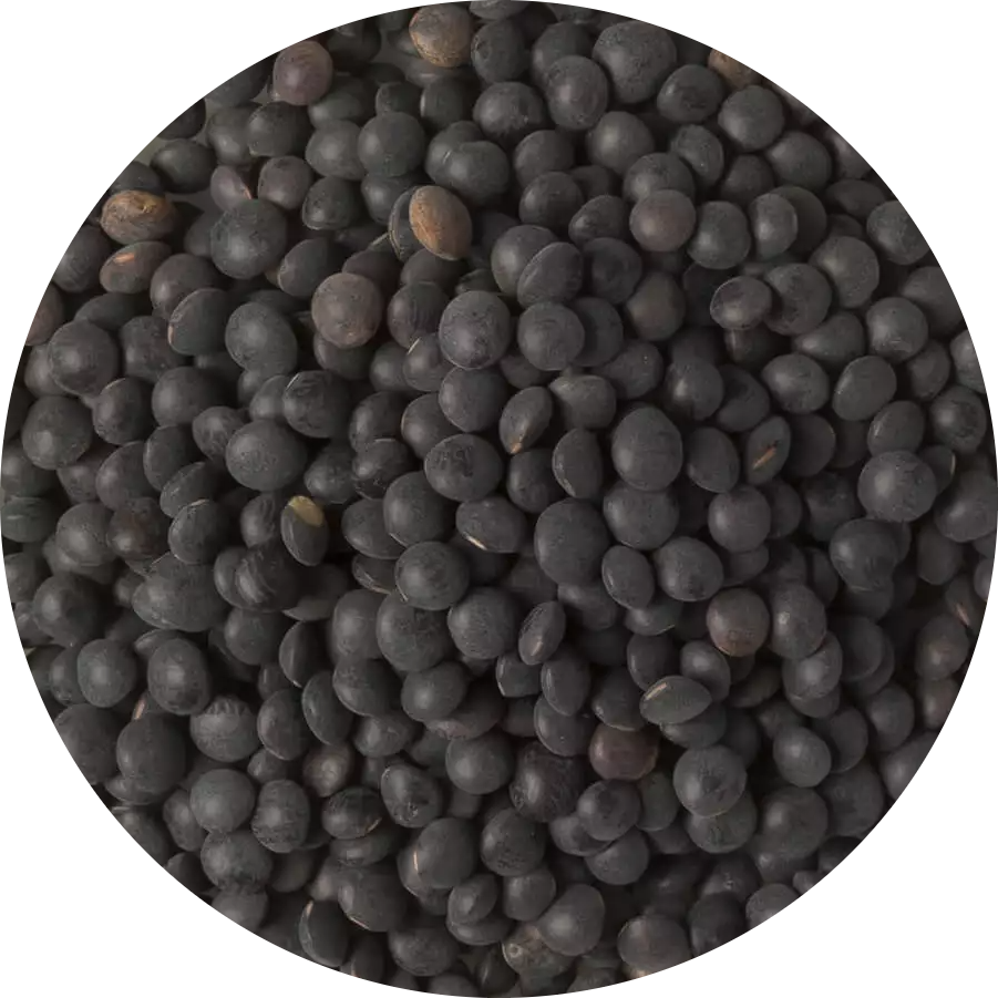 caviar-modified
