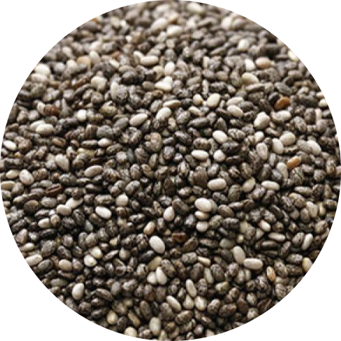 chia-modified